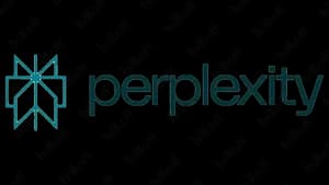 Perplexity