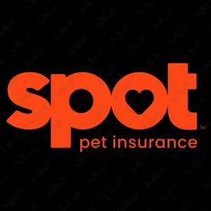 Spot Pet Insurance