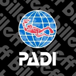 Padi