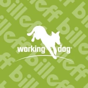 Working Dog