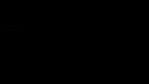 Revolut