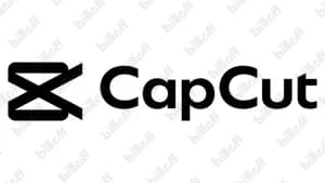 CapCut Standard