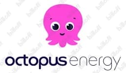 Octopus Energy
