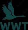WWT